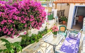 House With Garden In City Of Rhodes